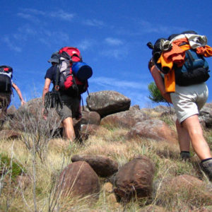 Hiking tours