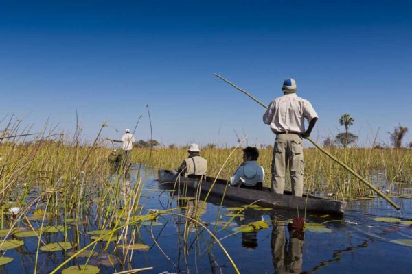 Soft adventure boat tours