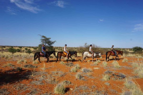 Soft adventure tours horse trails
