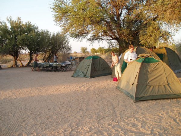 Camping tours