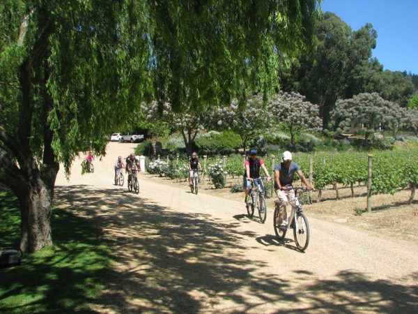 Cycling tours