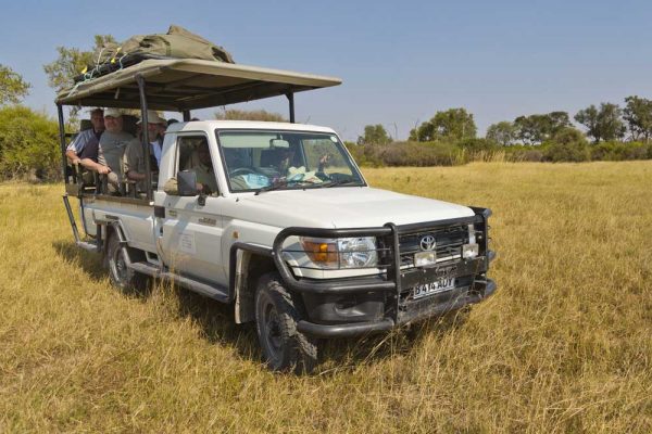 Game drive Botswana