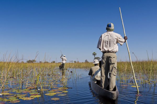 Boat tour, Botswana