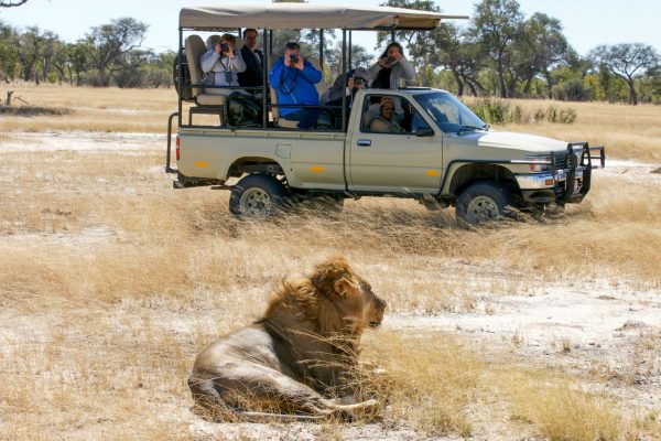 Hwange Game Drive