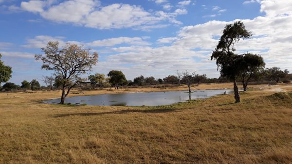 Hwange National Park, Zimbabwe