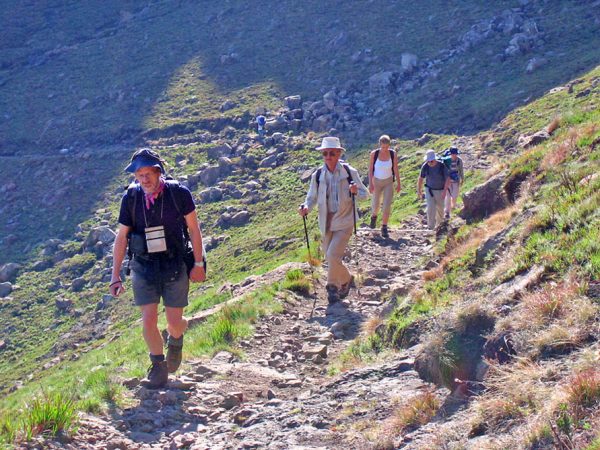 Hiking tours